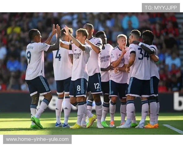 富勒姆足球俱乐部历史传承与英超挑战之路探讨